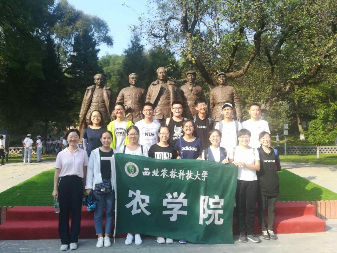 狐大医 | 怕冷不想动？卫健委专家教您运动不受冻